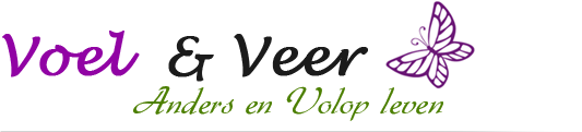 Coachingspraktijk Voel & Veer